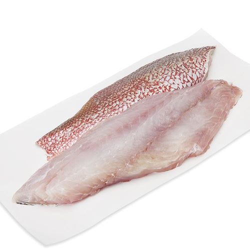 Scarlett Snapper Fillets Imoirted from Indonesia Sold by Case of 10 LB